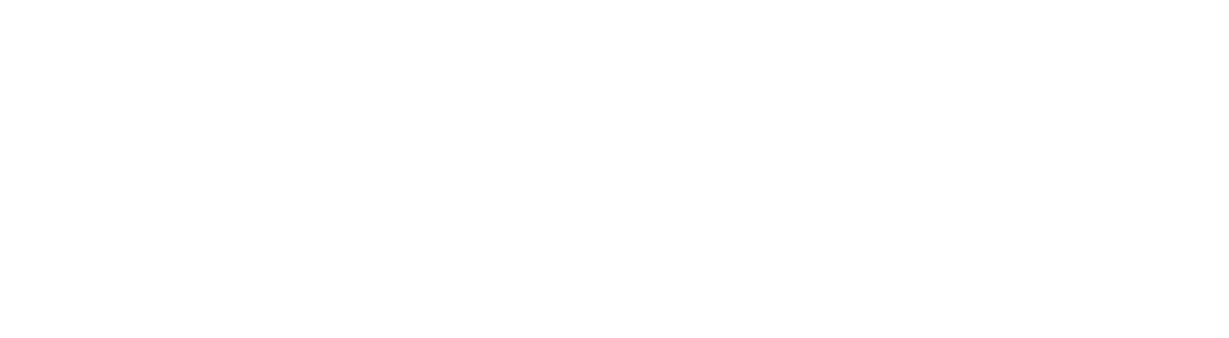VetLabs — CT, MR og røntgen